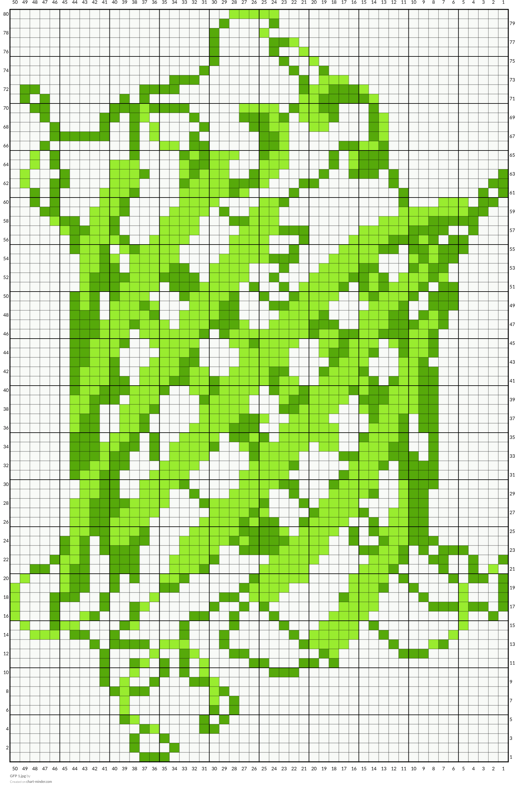 GFP 1.jpg
