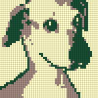 IMG_5630.PNG