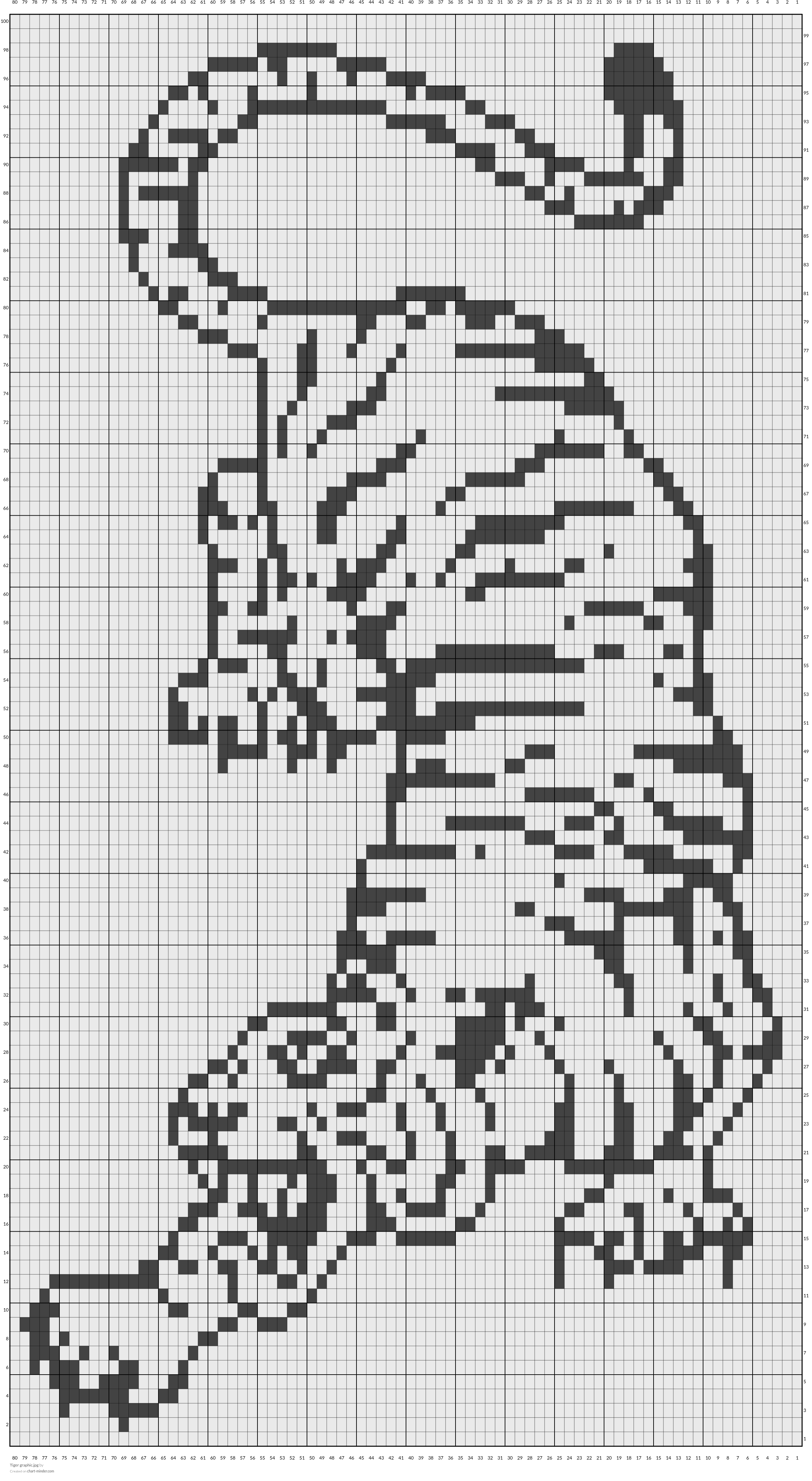 Tiger graphic.jpg