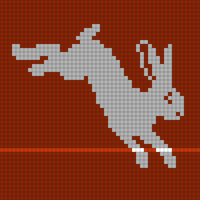50x50 Hare