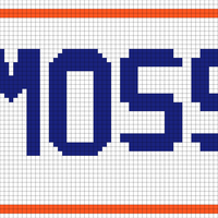 Joey moss