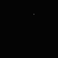 IMG_2655.jpeg