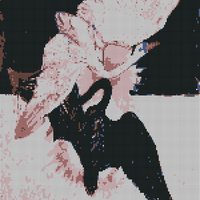 IMG_9449.jpeg