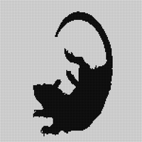 IMG_2161.png