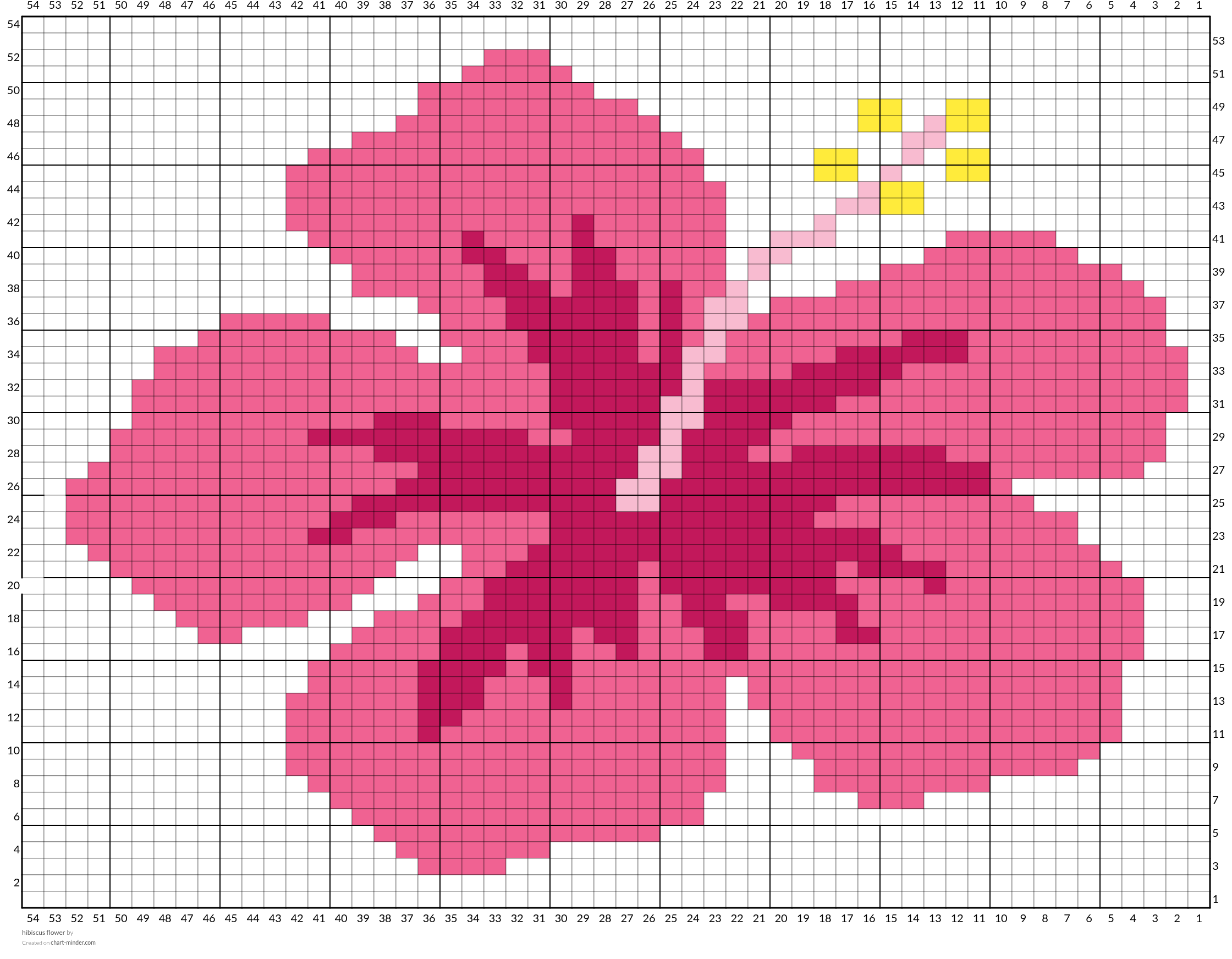 hibiscus flower