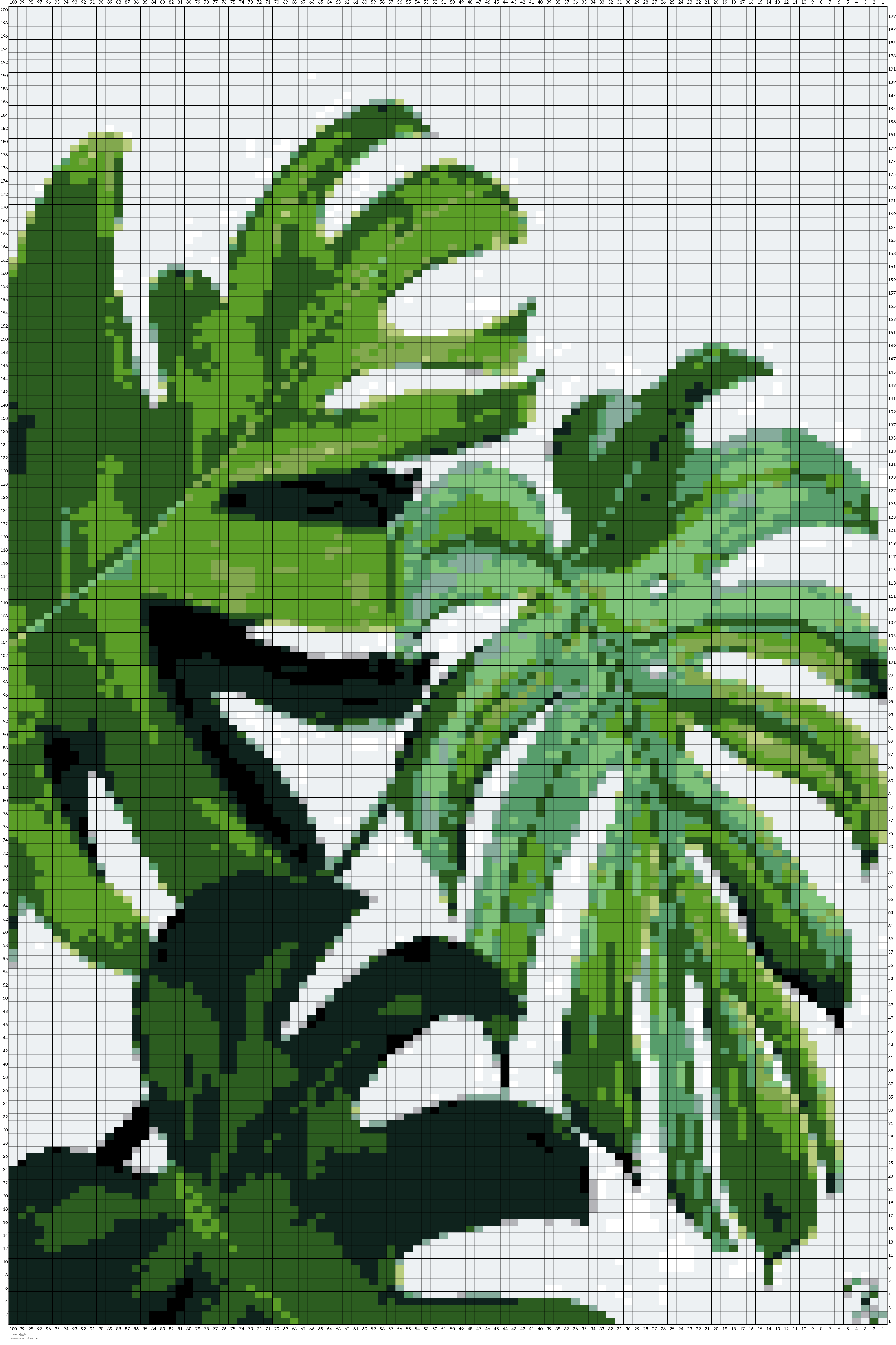monstera.jpg