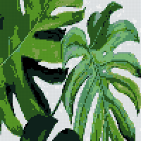 Copy of monstera.jpg