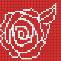 Rose 3.jpg