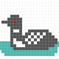 Loon