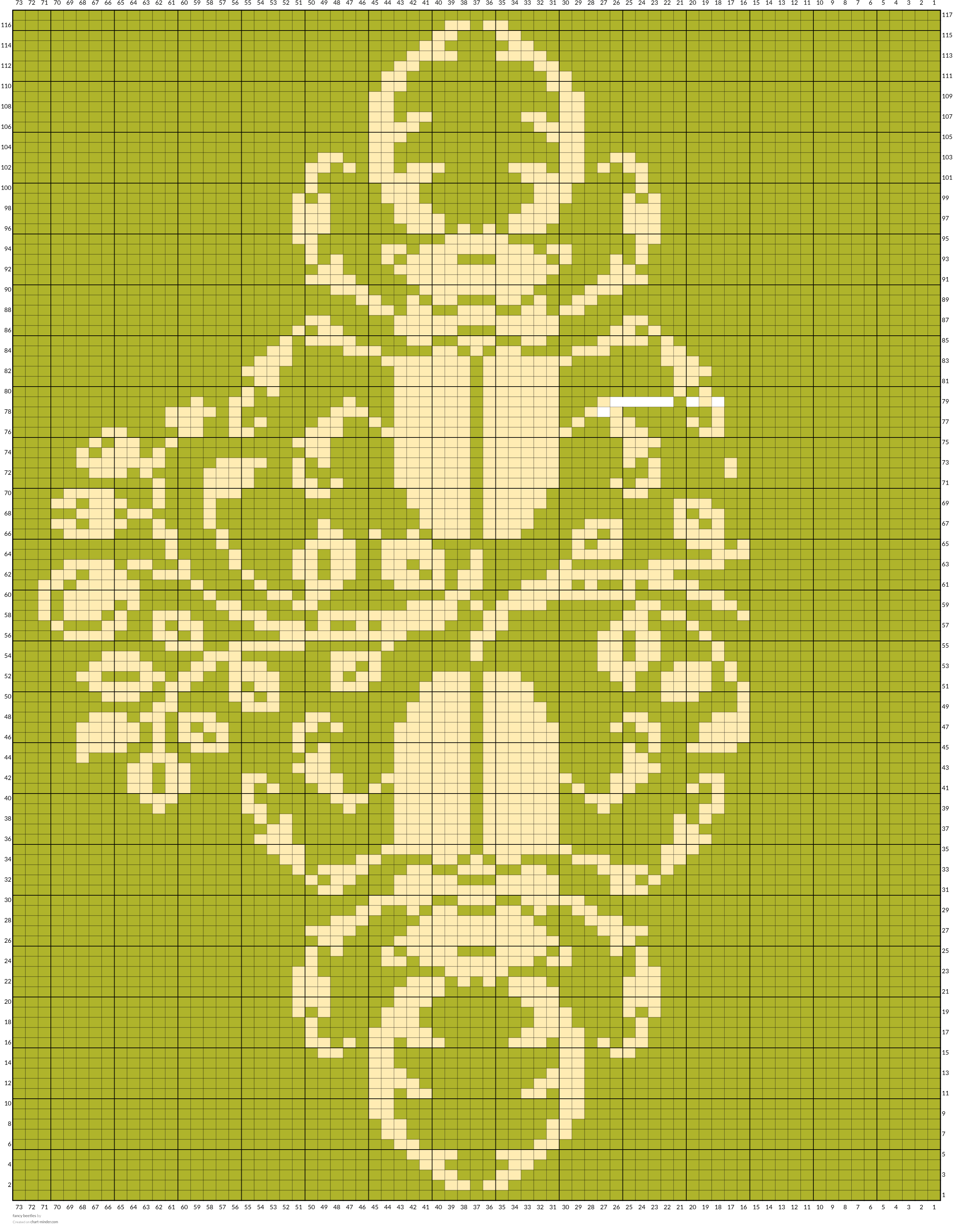fancy beetles