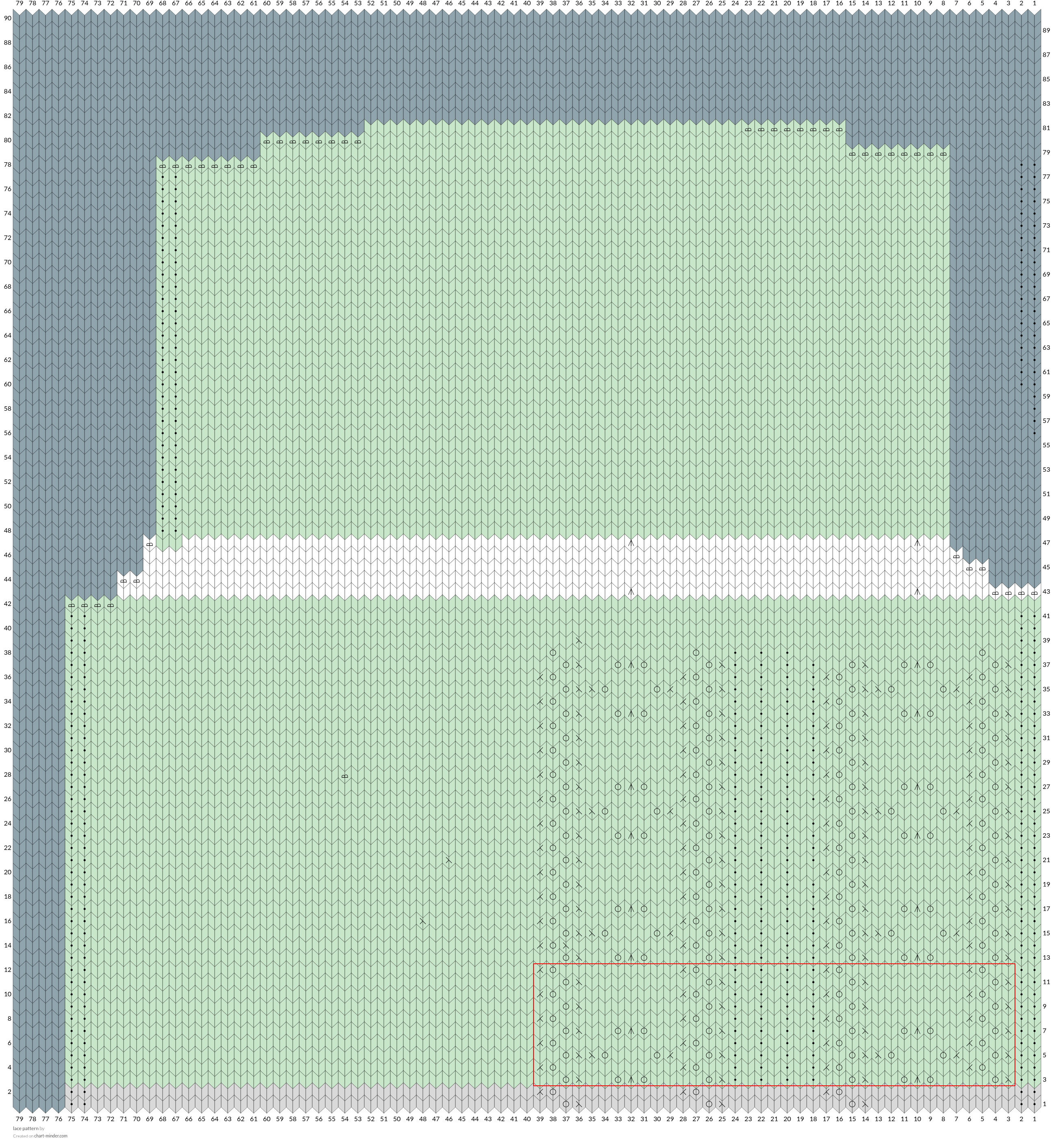 lace pattern-back