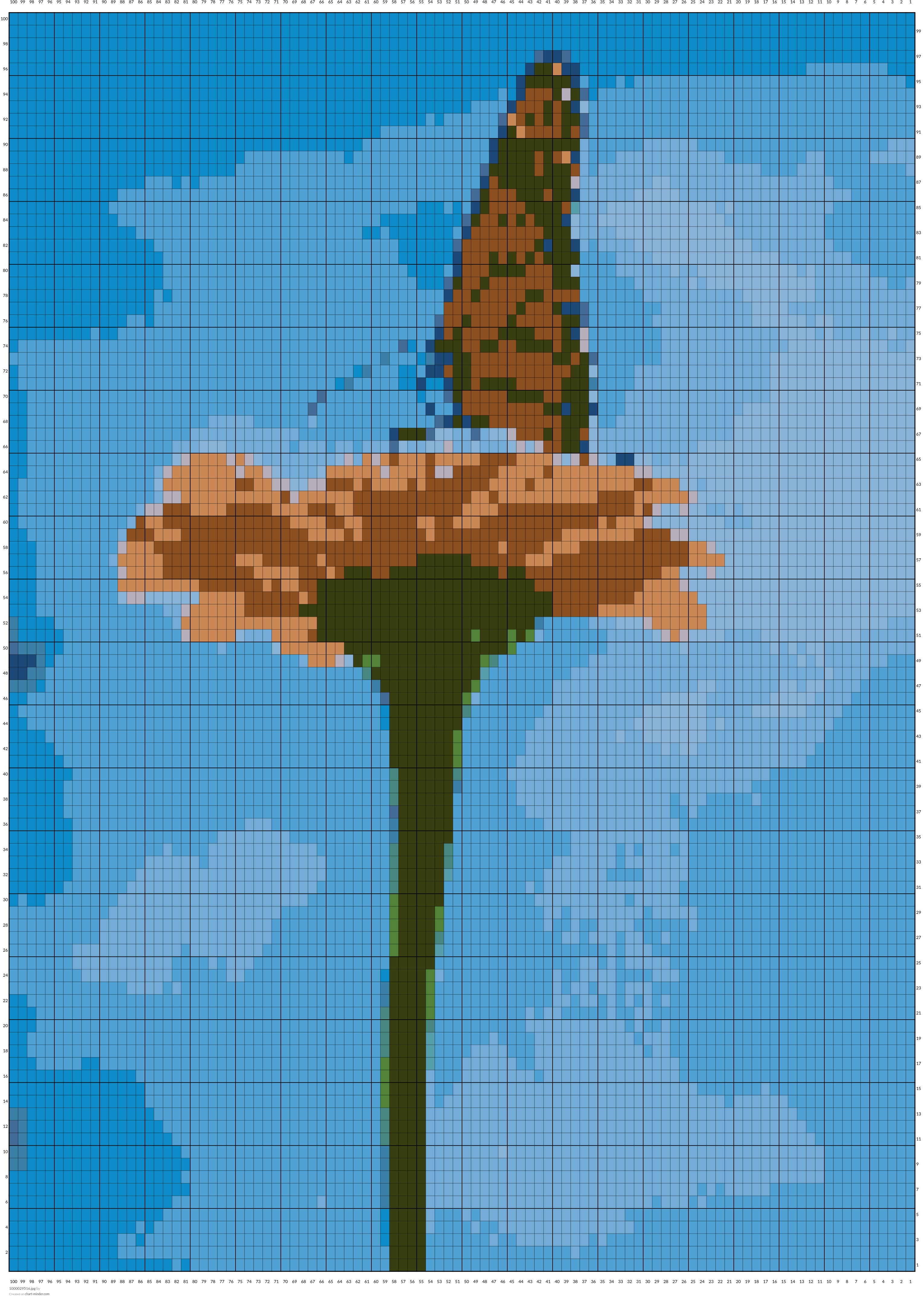 1000029516.jpg
