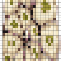1000029520.jpg