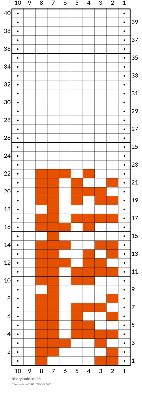 binary code test