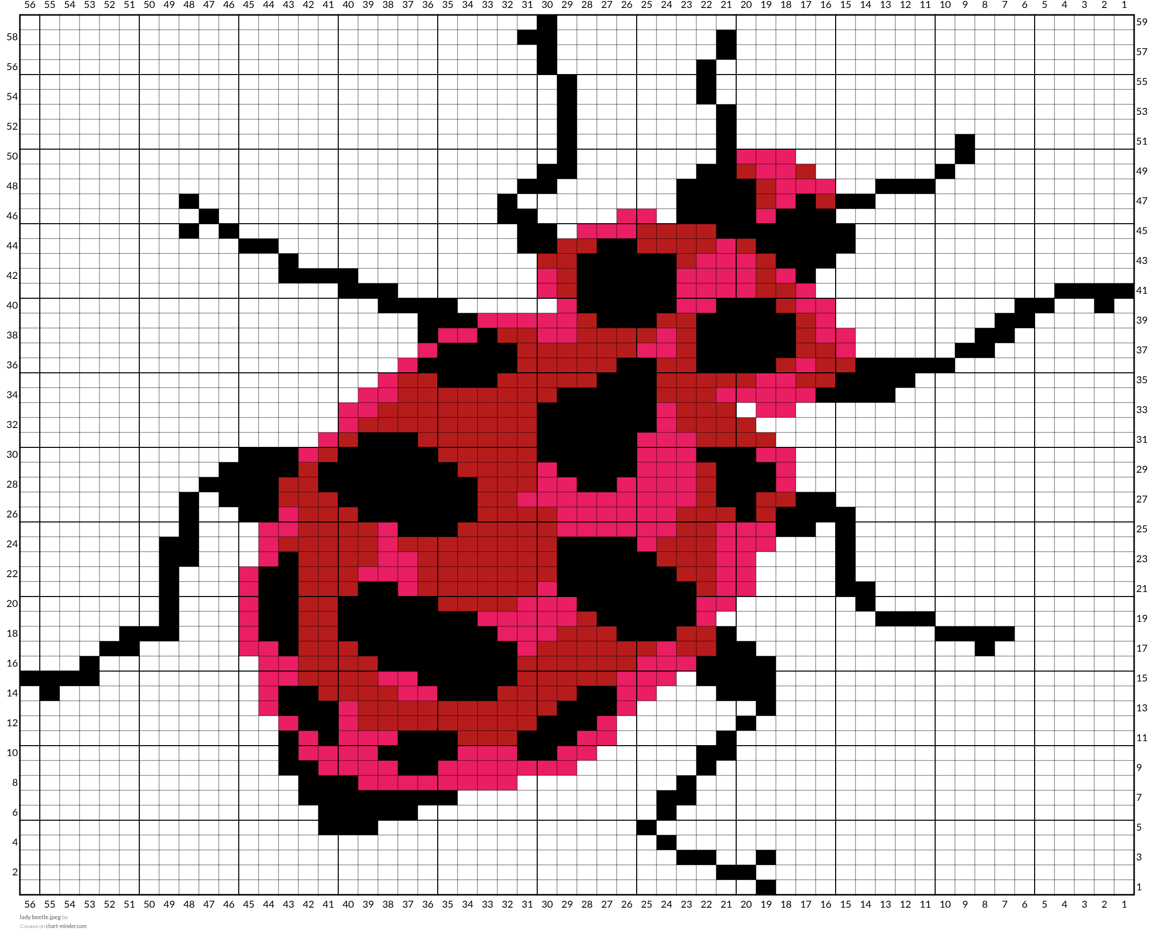 lady beetle.jpeg