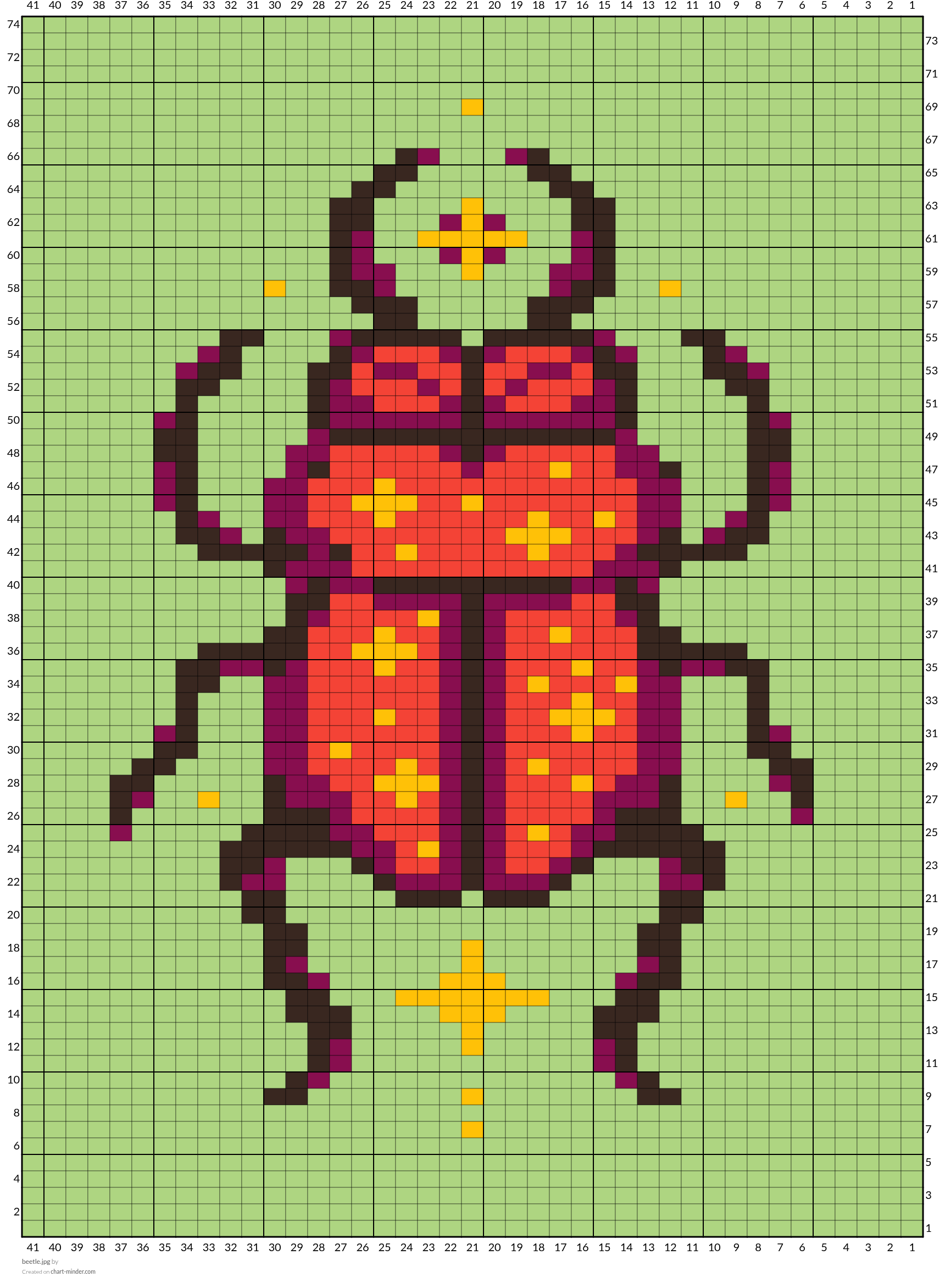 beetle.jpg