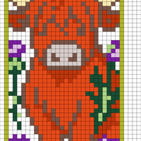 Highland Cow