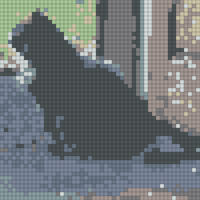 fergus nature gazing