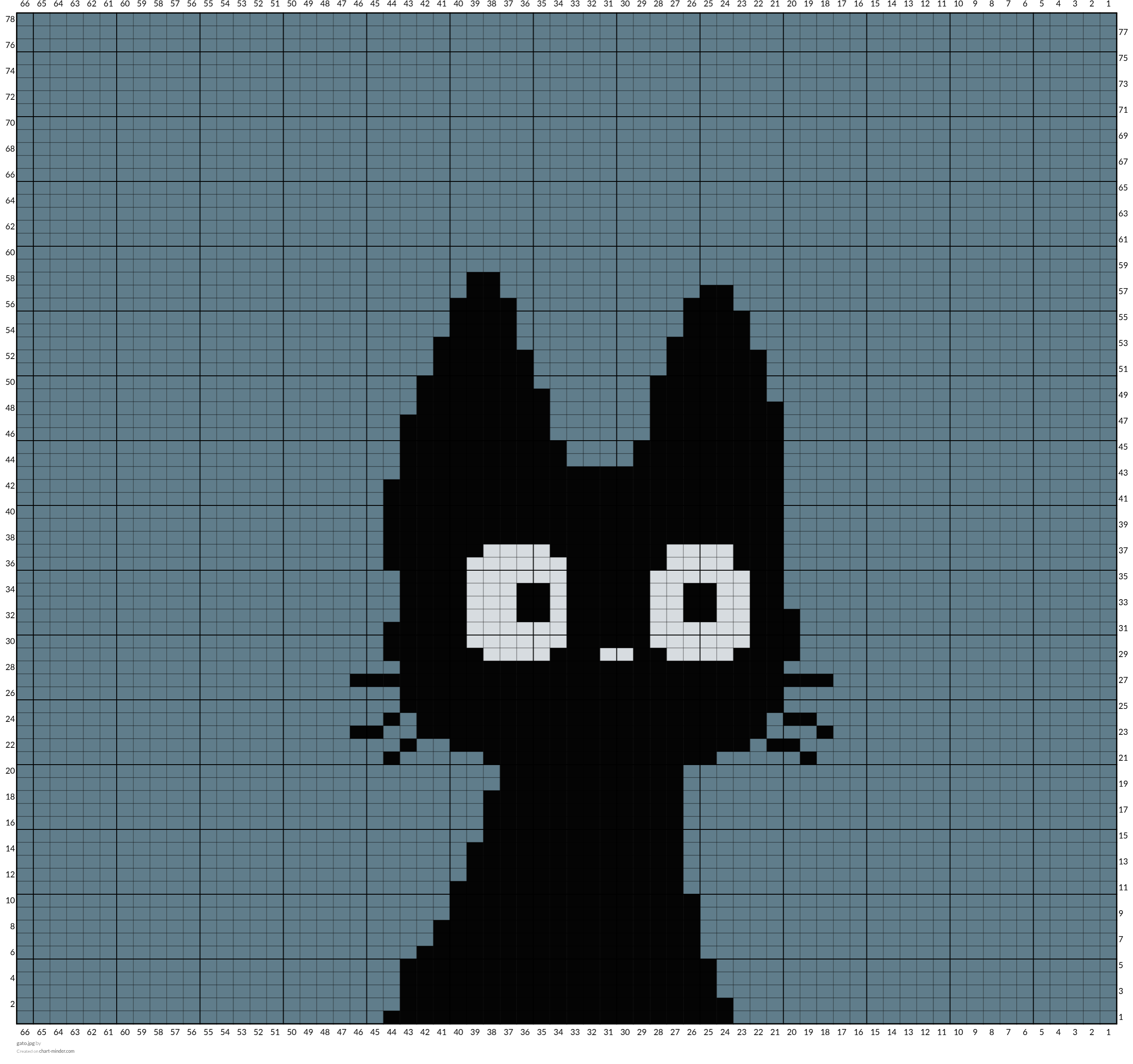 gato.jpg