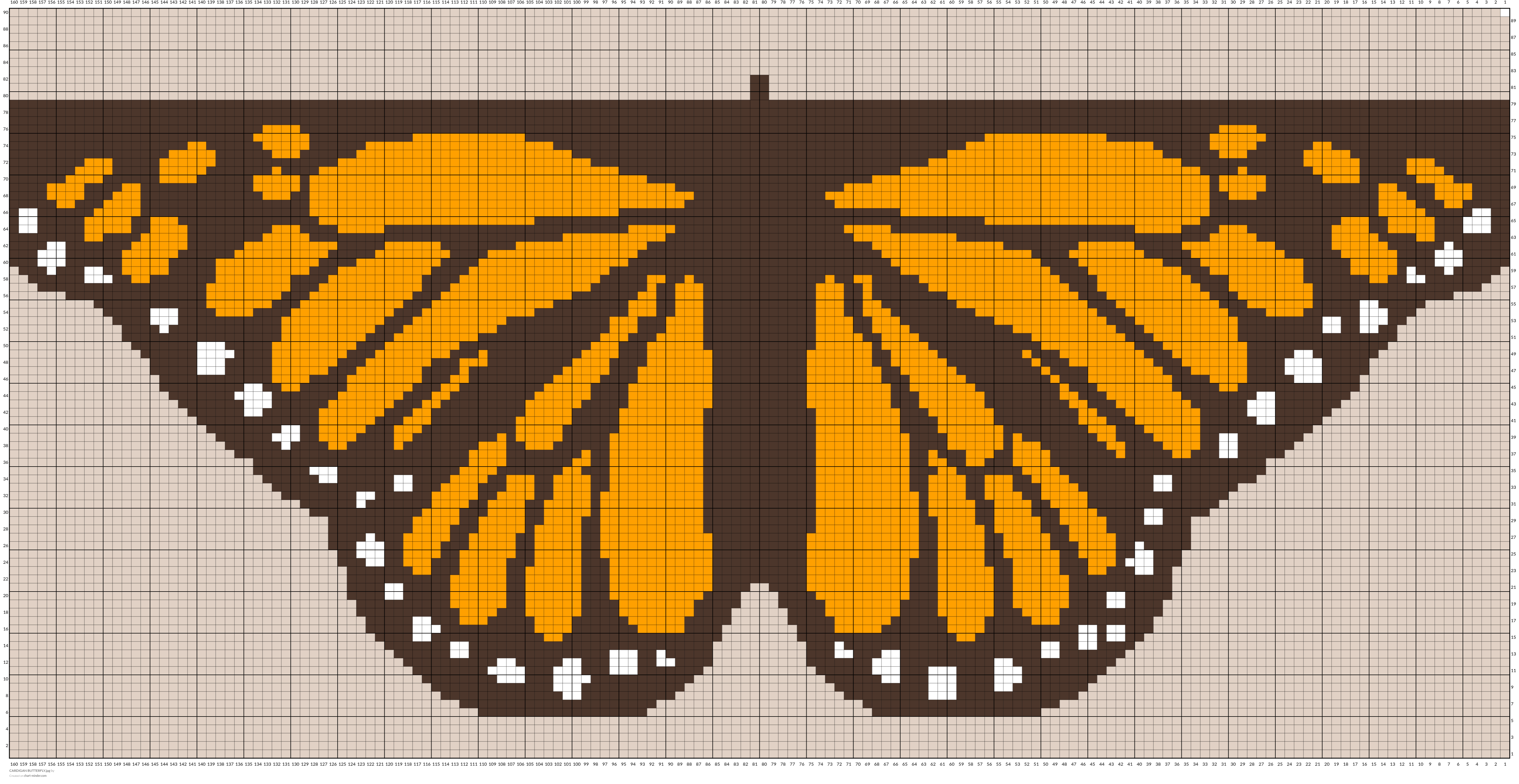 CARDIGAN BUTTERFLY.jpg