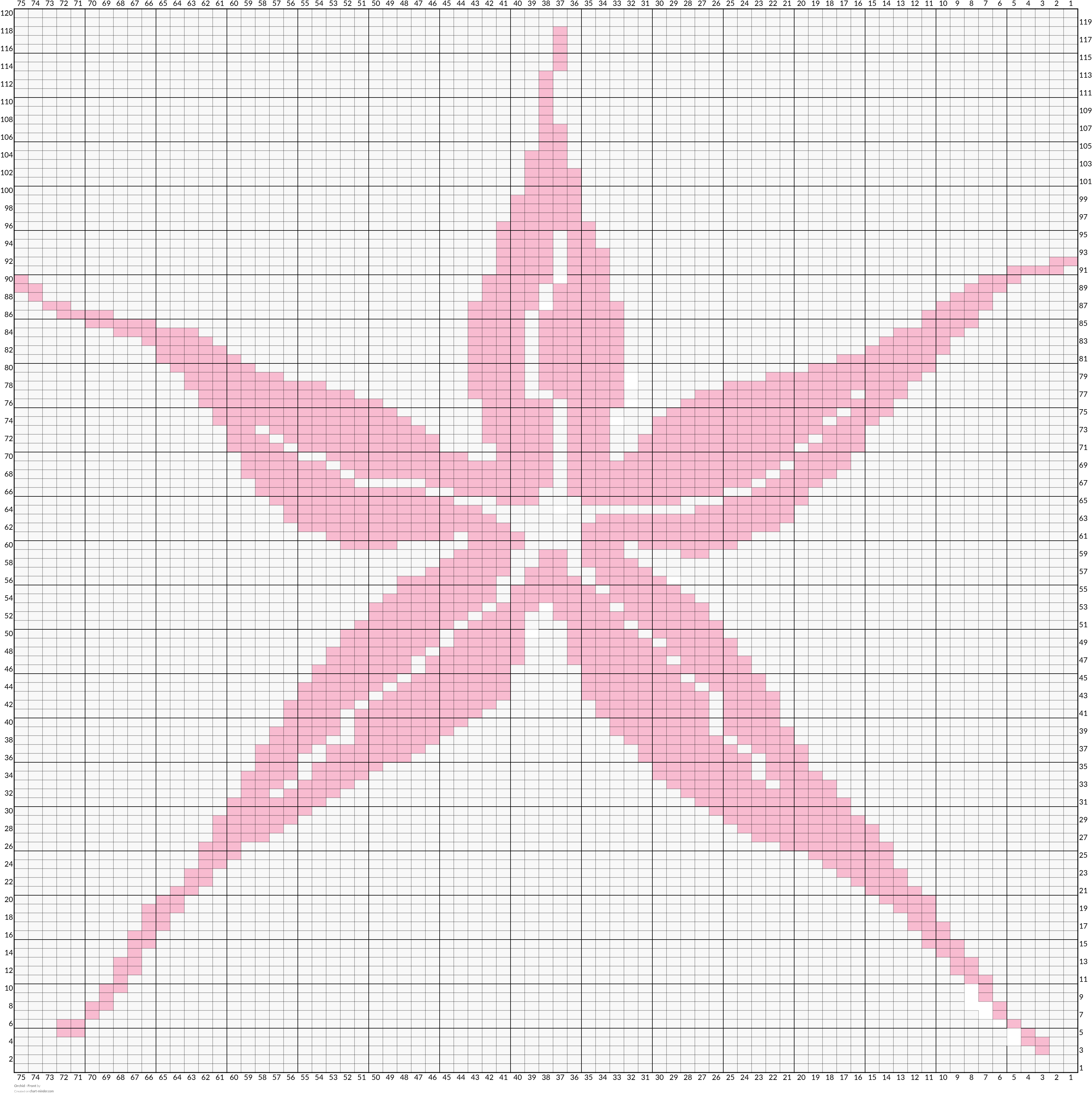Orchid - Front