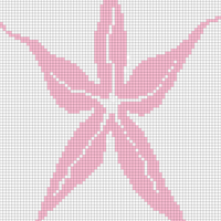 Orchid - Front