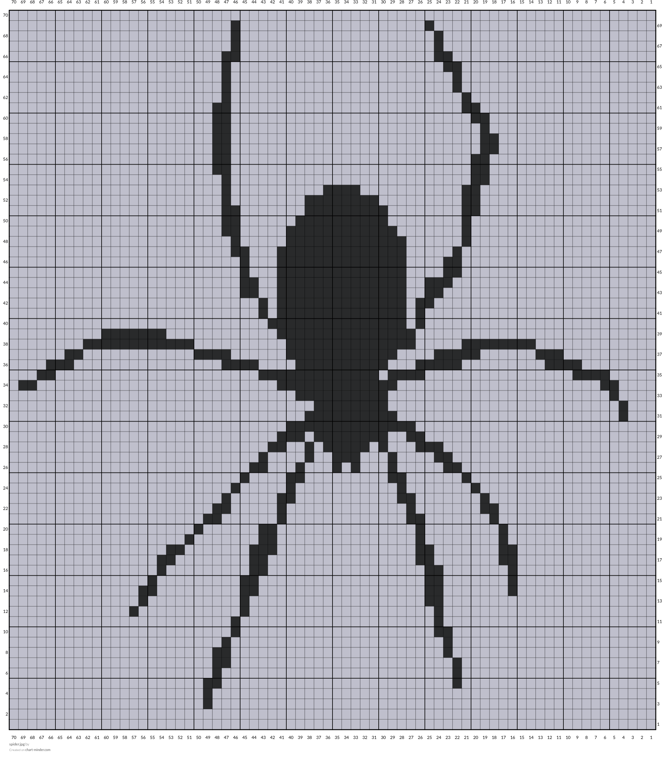 spider.jpg