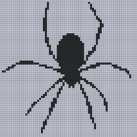 spider.jpg