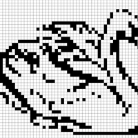Swan