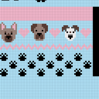 dog socks