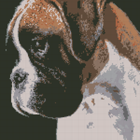 Boxer01.png