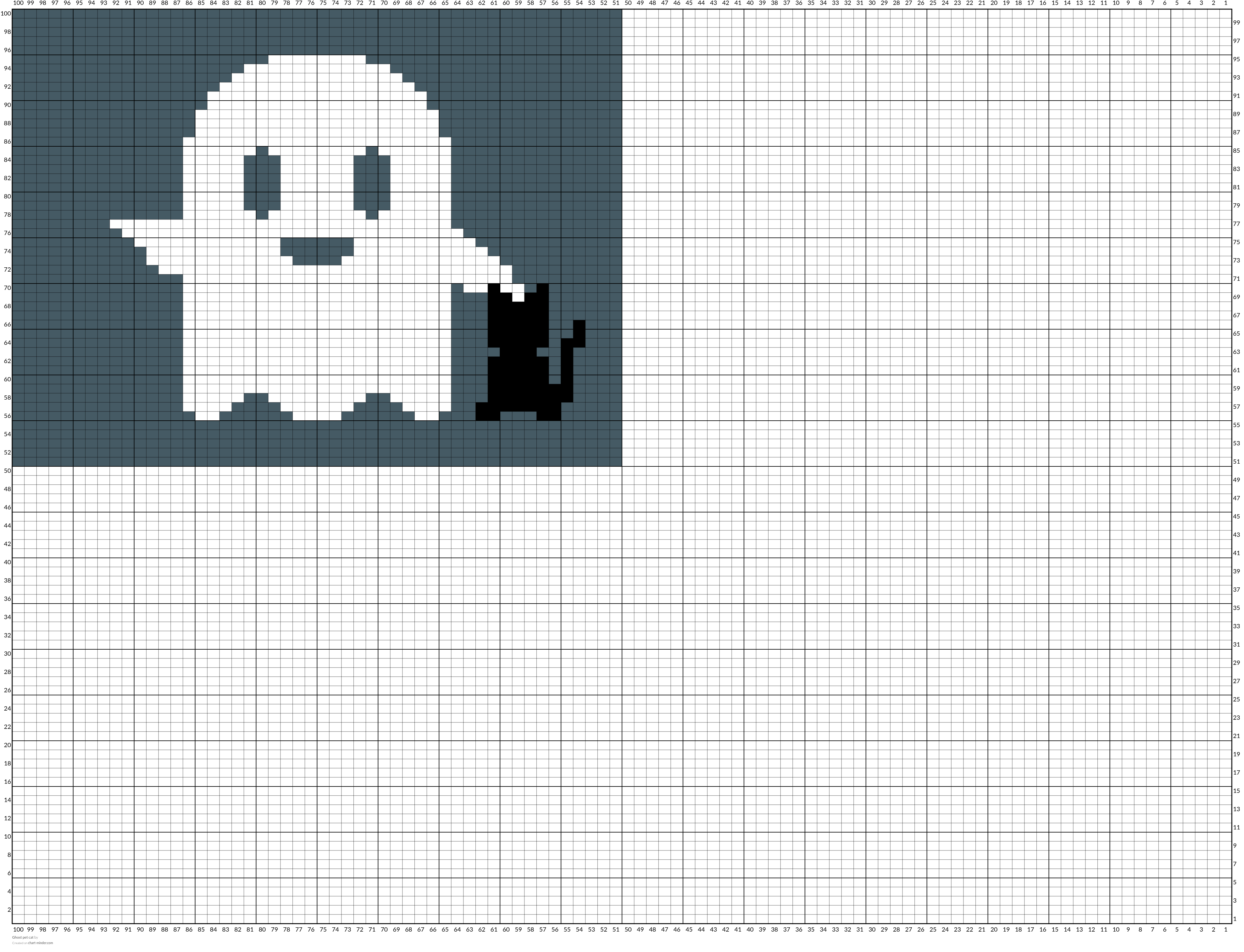 Ghost pet cat 