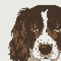 Copilot_20260519_170523.png