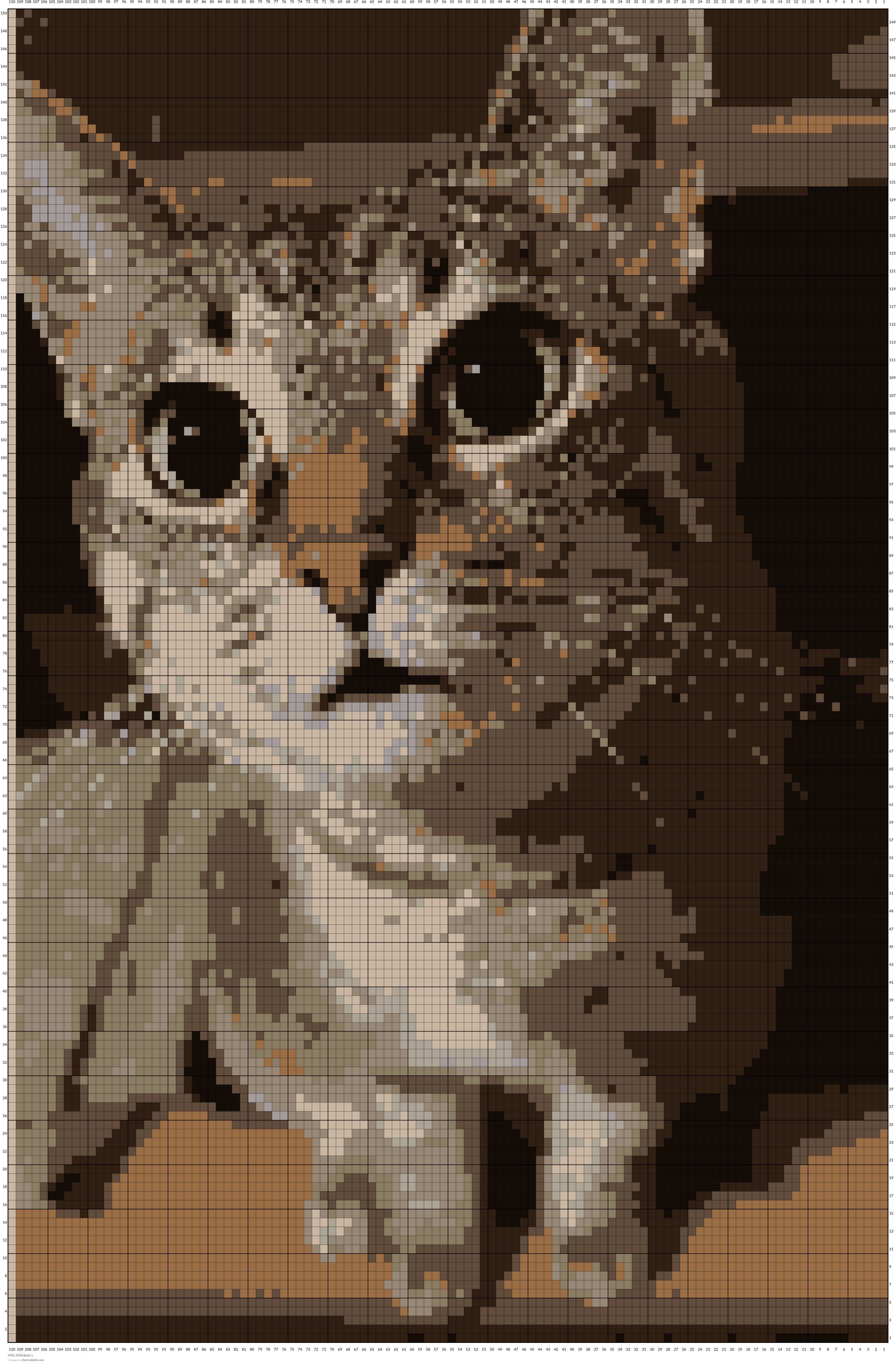 IMG_2343.jpeg