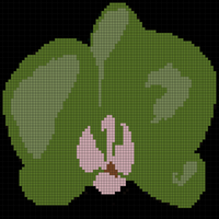 Copy of download.png