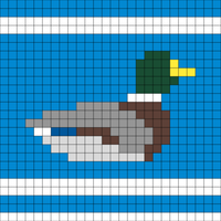 duck