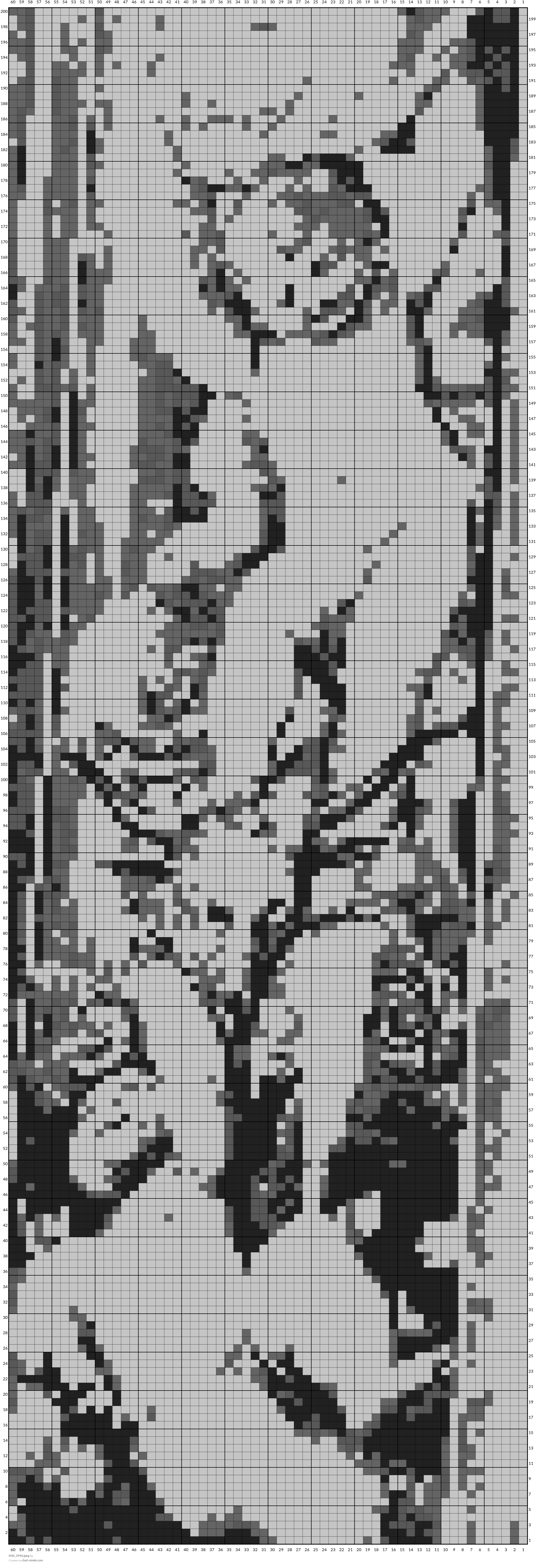 IMG_3996.jpeg