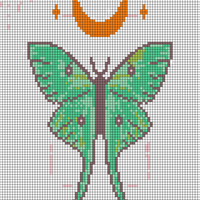 Moth Wall Art Pattern