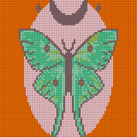 Copy of Moth Wall Art Pattern