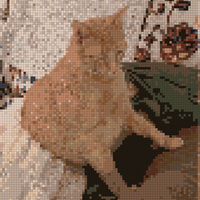 1000016919.jpg