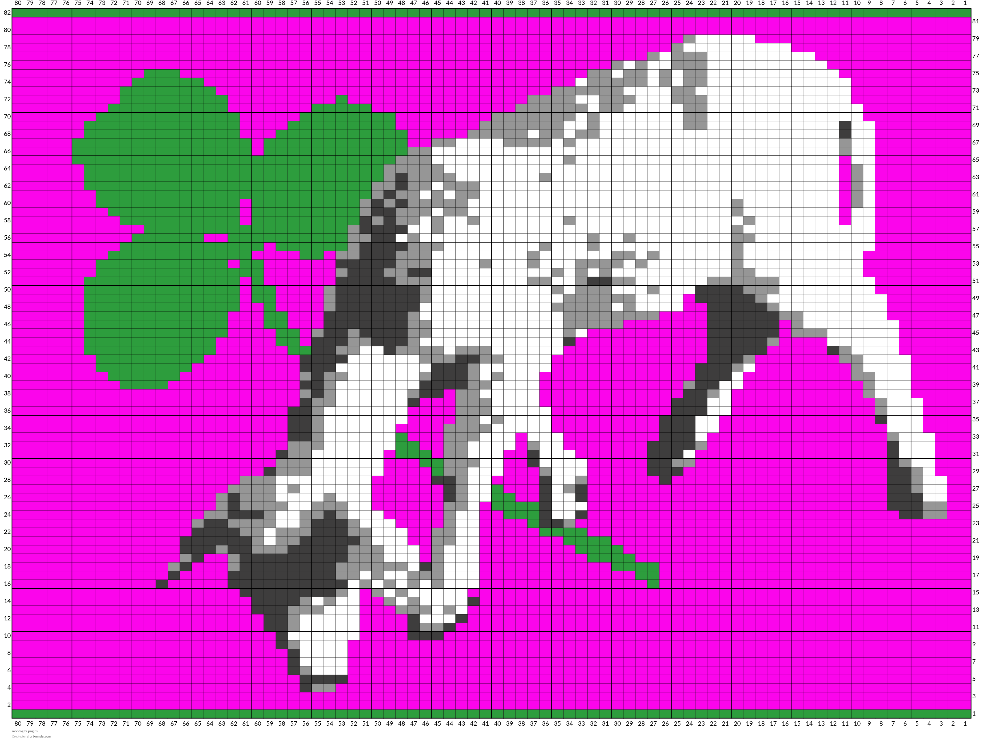 montage2.png