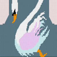 Swan Front 1