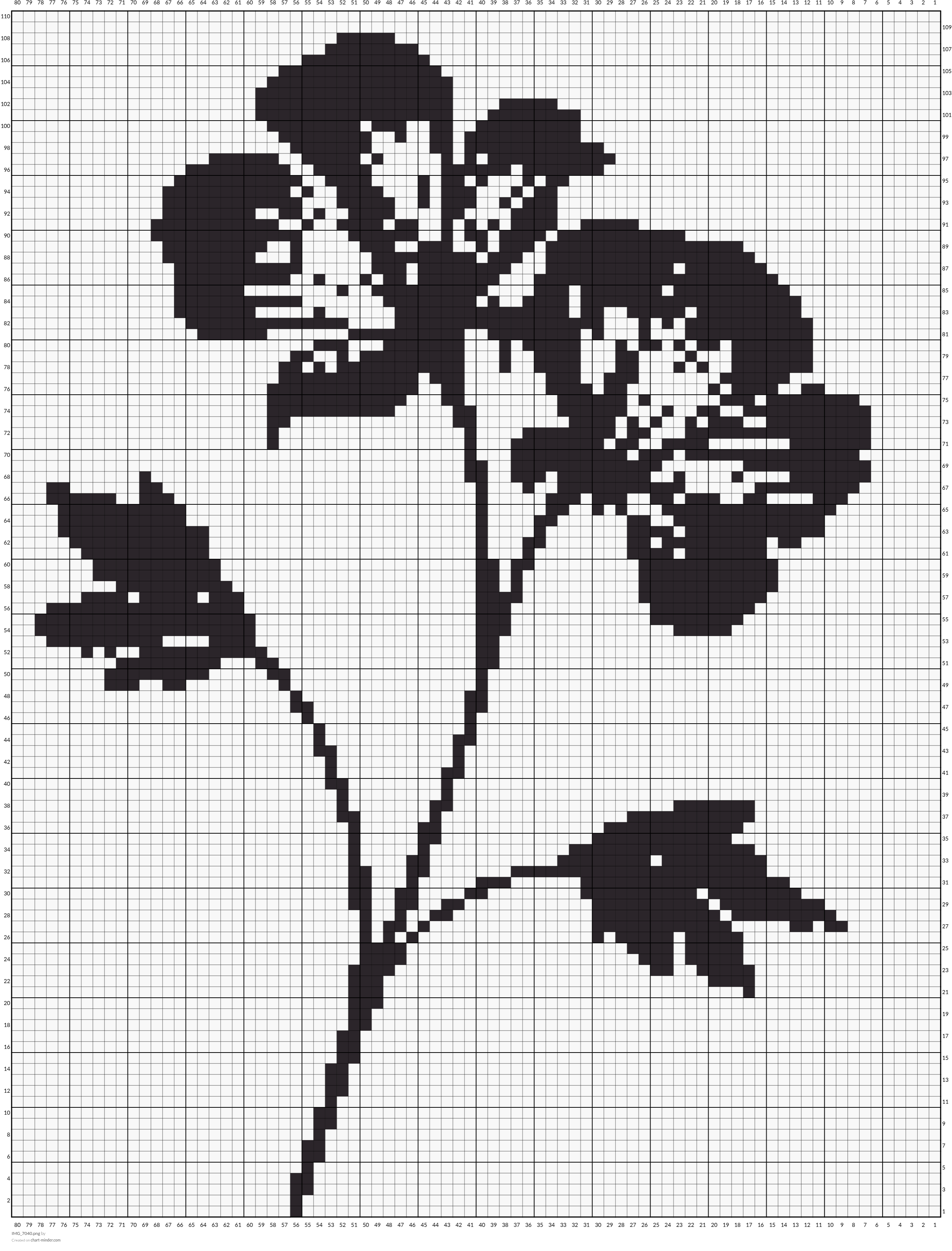 IMG_7040.png