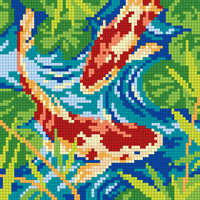 koi