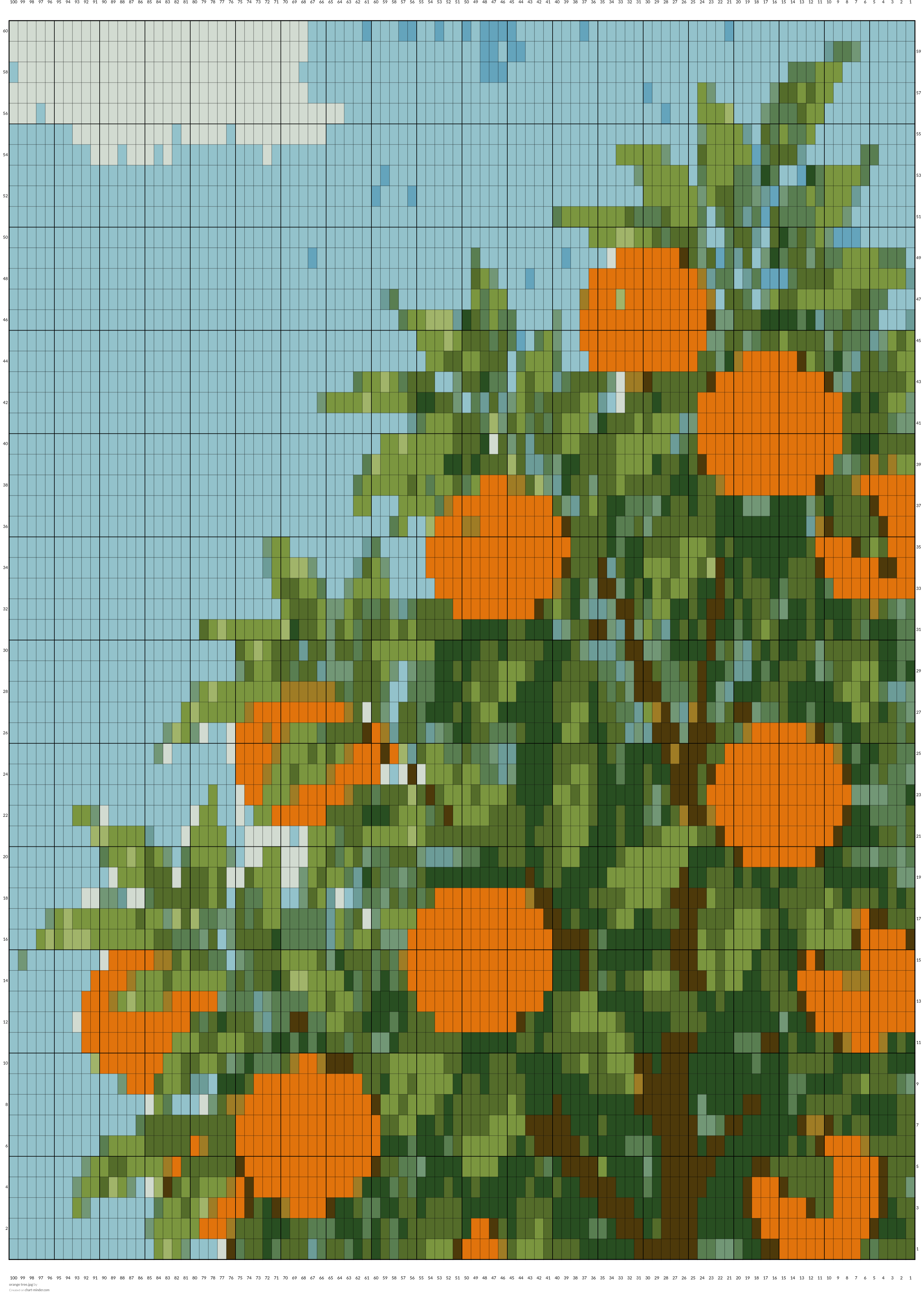 orange tree.jpg