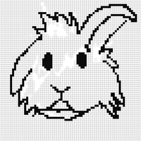 IMG_0904.jpeg
