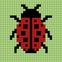 Ladybug