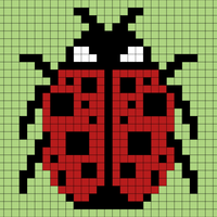 Ladybug 2