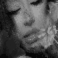 petal.webp
