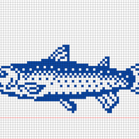 Trout type fish